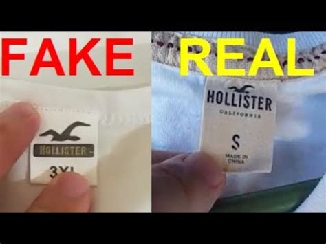 fake hollister clothes|hollister jackets made in usa.